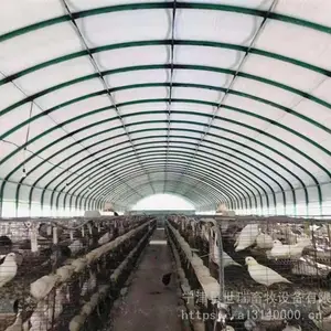 兔子养殖大棚搭建 鸽子养殖棚建设 宁津县世瑞畜牧大棚厂家