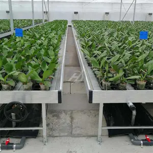 大棚蔬菜潮汐灌溉苗床 底部灌溉苗床技术要求 航迪厂家
