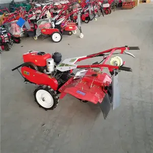 �߲˴�����ػ� ���ô����������� ��԰ˮ����ش����