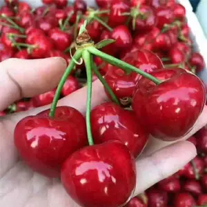 �������� �������� �ʺ��ϱ�����ֲ ��ӣ��������������