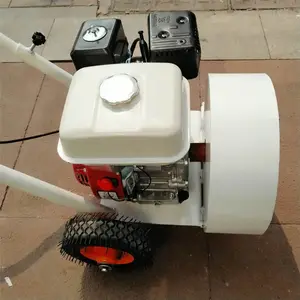 �����������洵��� С�����ʹ���� ʯ��ɳ�Ӵ���� ����