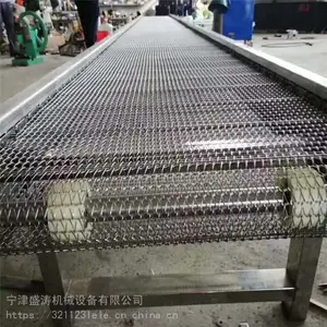 盛涛不锈钢食品级网带输送机_G560使用寿命长食品五金_电子工业网带输送机***格