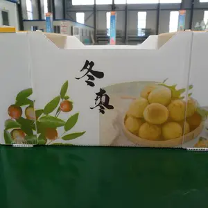 冬枣包装箱山东源头厂家批发定制防水防潮各类水果包装箱
