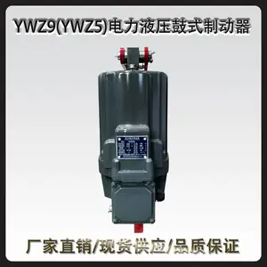 ��ϲ YWZ9(YWZ5)-300/23����Һѹ��ʽ�ƶ���