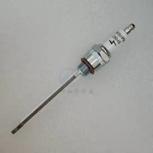 美国Eclipse天时火花塞10019728烧嘴点火电极 23045
