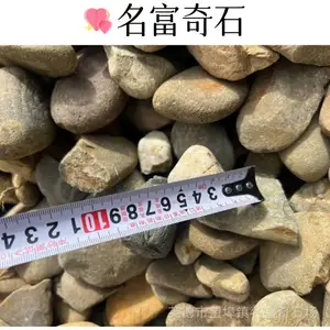 广东东莞庭院枯山水鹅卵石 东莞景观墙鹅卵石堆砌 东莞鹅卵石批发地