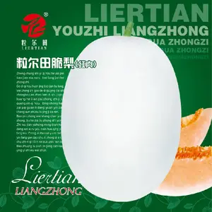 高产红肉脆梨甜瓜种子 厚皮甜瓜哈密瓜种子 粒尔田脆梨红肉种子