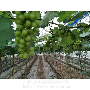 �㶫���﹩Ӧ��/�������Ѵ��ｨ��