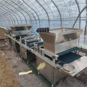 大棚蔬菜穴盘育苗播种机 全自动蔬菜点播机 园林花卉自动苗盘机