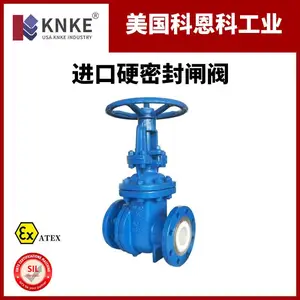 进口硬密封闸阀 启闭力矩适中 科恩科KNKE品牌