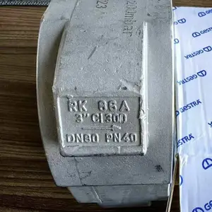 德国GESTRA法兰间夹持式止回阀 RK 76用于夹层法兰之间现货