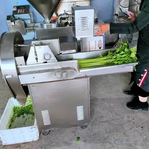 不锈钢商用多用途芹菜切菜机视频 现货全自动数字切菜机