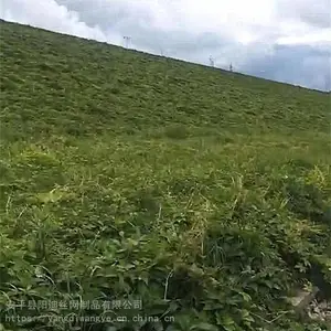 ��Ȫ�����̻�ʩ�� ˮ���罬���� ���ٹ�·�����̻�����
