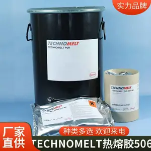 �������۽��;��Ժ�TECHNOMELT PUR 5061 ������װ
