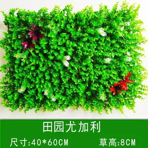 ����ֲ���ŵ�����ǽ��ڹ�����������ֲ����ǽ�˹��̻��ٻ���
