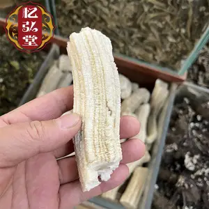�������տ�������ҩ�� �������������� ��֤���䱳ҩ��