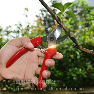 ��֦101��֦�� ��̼�� ʡ�� ���� ԰�չ��� �ּ� �޼���������