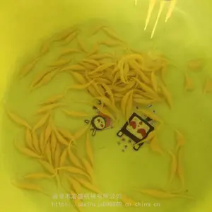 ��ʢʮ����Ϻ��������������������ͨ��Ϻ��������Ƶ