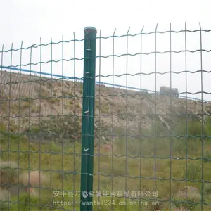 ��̩�������۸� ��ֳ�� ��ֳ����˿��