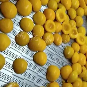 耐腐蚀清洗链板-泗洪清洗链板-铭亿清洗链板