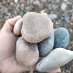 天然鹅卵石 河卵石 庭院景观雨花石 黑色抛光机制卵石