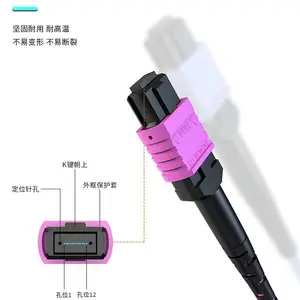MPO-LC 24оOM4��ģ����100G��������MTP���˽�����OM3