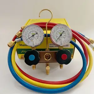 REFCO��ʿ������ýѹ������BM2-6-DS-R22 ��9884898��