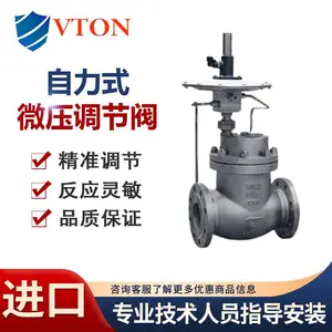 ����ʽ���ڷ� ���ֽṹ��ʽ ��������VTONƷ��