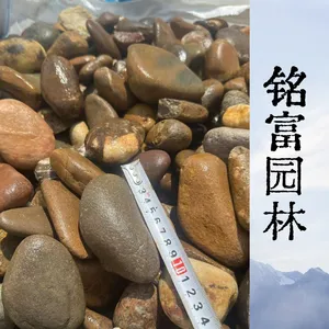 吨包袋装5-8cm鹅卵石 污水处理过滤卵石 园林铺路鹅卵石现货