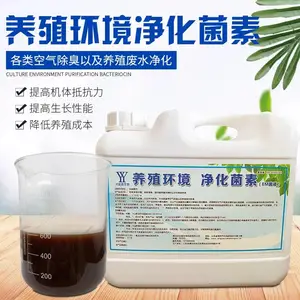 养殖环境净化菌除臭菌圈舍净化菌河道处理菌异味净化剂