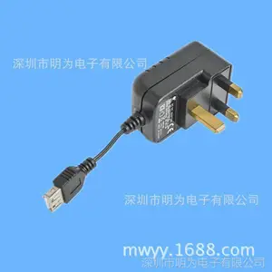 5V1A充电器 5V电源适配器 USB电源