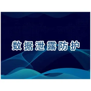 上海讯软DSE数据加密厂商 真诚推荐 上海迅软信息科技供应