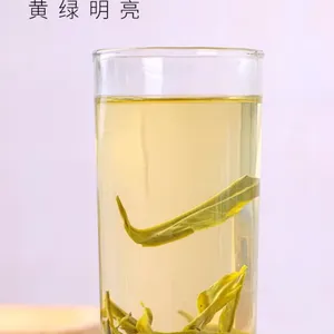 云州问境·有机古树绿茶 2025年春茶清新清香高品质健康茶