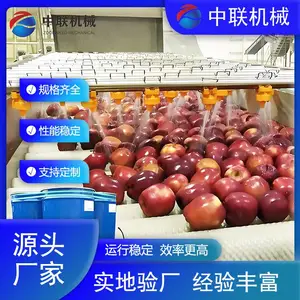 果蔬汁饮料生产线 不锈钢全自动苹果汁加工设备