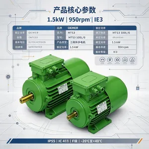 �����OEMER MTS3 100L/6�����첽��� 1.5kW IE3 �÷�������豸��