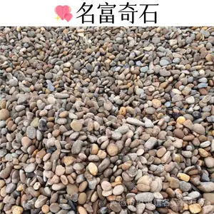广东湛江鹅卵石产地直供 湛江人工湖底铺鹅卵石 湛江别墅鹅卵石小径