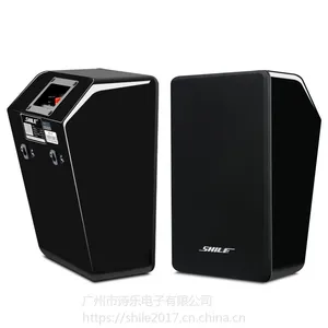 狮乐会议室音响套装 培训室店铺背景音乐蓝牙功放音箱无线麦克风公司 木质箱设备