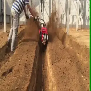 չ���������΢�Ϳ�������ݮ��¢С�Ϳ���������