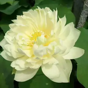 �����ɻ��� �����ɻ����� �ɻ��Ǹ߹��ͼ�ֵ��ˮ������