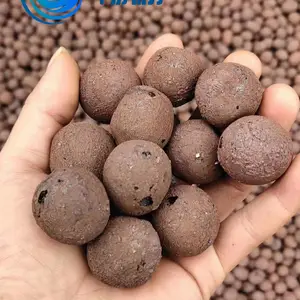 �㶫��ݸ�������� ������������� ��ǿ������ ԰������