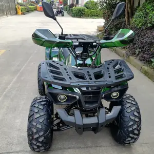 厂家外贸直销 电动全地形车 48V60V1200V 1500W 2000W 电动沙滩车 四轮摩托车休闲越野车