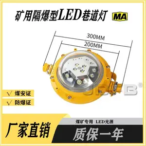 DGS50/127L（A）矿用隔爆型LED巷道灯 50W隧道硐室照明灯