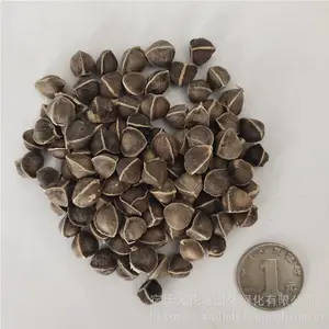 ��������ҩ������ ��ľ���� ��ѿ*** �۸���� ***