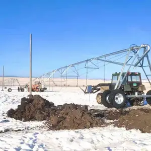 ����DPPƽ��ʽ���� 12���ģ������