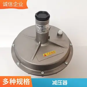 燃气调压器箱减压阀 调压柜汽化炉lng过滤器 支持定制加工