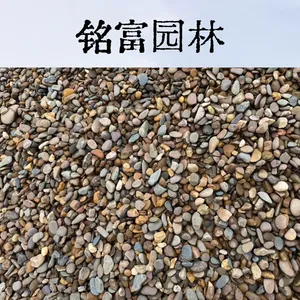 园林造景1-3公分鹅卵石 鱼池垫底滤料 黑色灰色杂色卵石