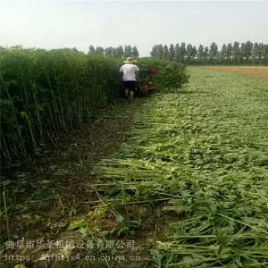 ����΢�͸�ݻ� ���Ƹ�ɹ�� ����ʽ���������