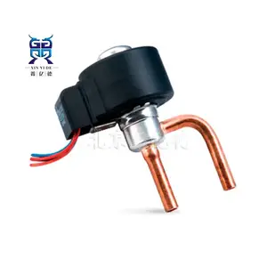 SANHUA����DPF(S03)6.5C-02�������ͷ�DPF6.5