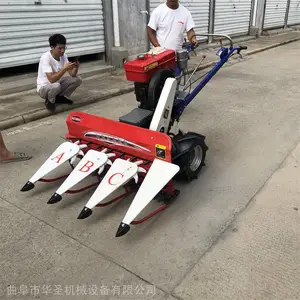 ��ĸ��ƽ���Ƭ�� �����������ɰ��ݸ�ɹ�� ��ʥ