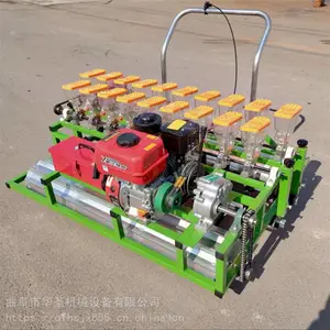 ���Ϳ�������� 3��4���߲˲��ֻ� С�������ֲ˻�